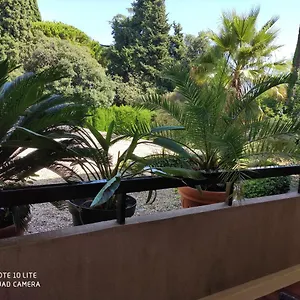 Les Palmiers Apartment Nizza